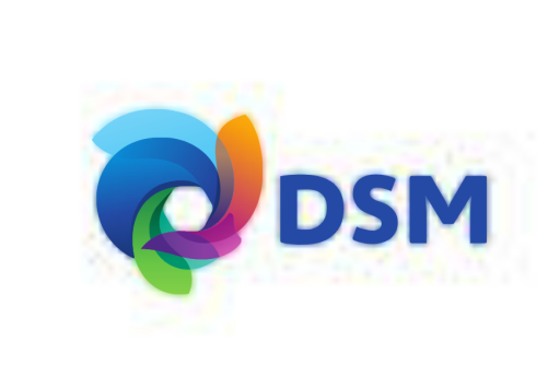 DSM / China