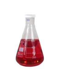 ERLEN - ŞLİFLİ29 / 32      500 ML